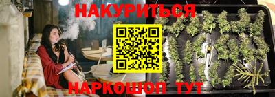 спиды Камень-на-Оби