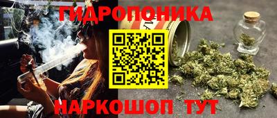 спиды Камень-на-Оби