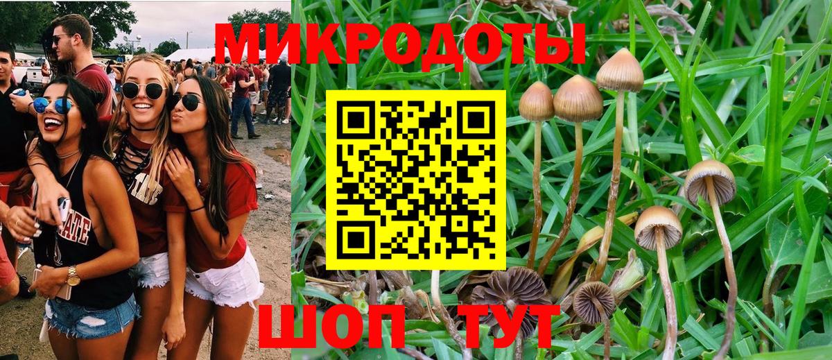 Сибай  Псилоцибиновые грибы ЛСД  Вход с VPN 